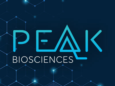 Logo design and branding